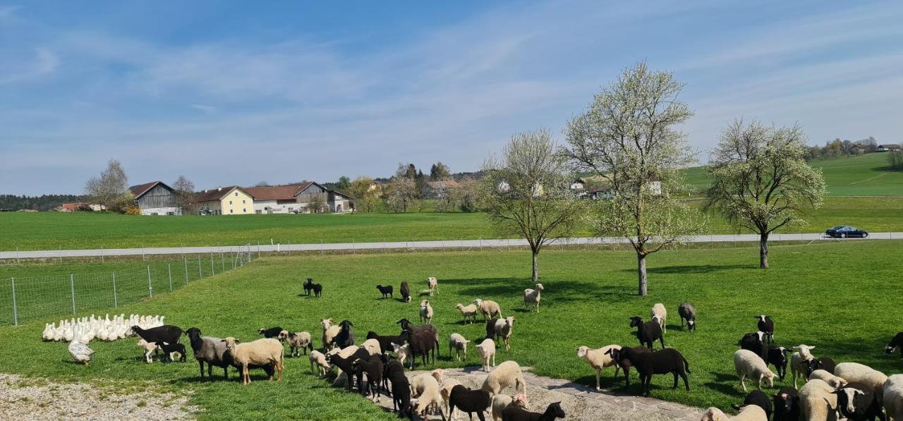 Landgasthof Entenwirt Tarsdorf Exteriér fotografie