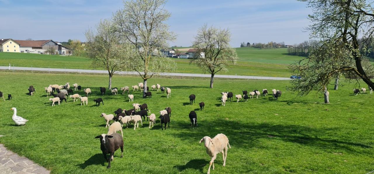 Landgasthof Entenwirt Tarsdorf Exteriér fotografie