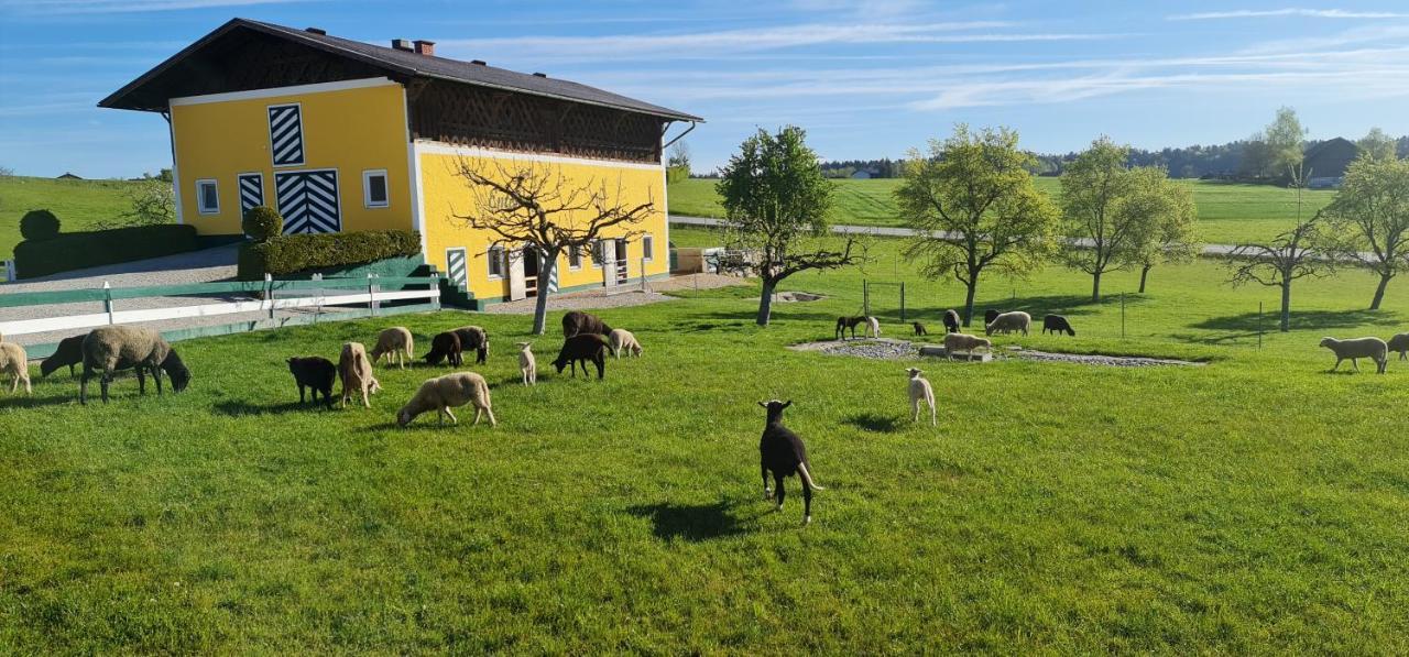Landgasthof Entenwirt Tarsdorf Exteriér fotografie