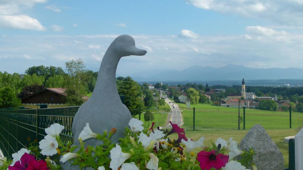 Landgasthof Entenwirt Tarsdorf Exteriér fotografie